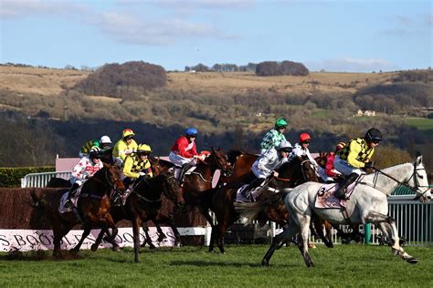 cheltenham festival|cheltenham festival 2023 packages.